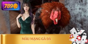 Màu Mạng Gà Đá