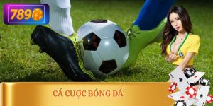 Cá Cược Bóng Đá
