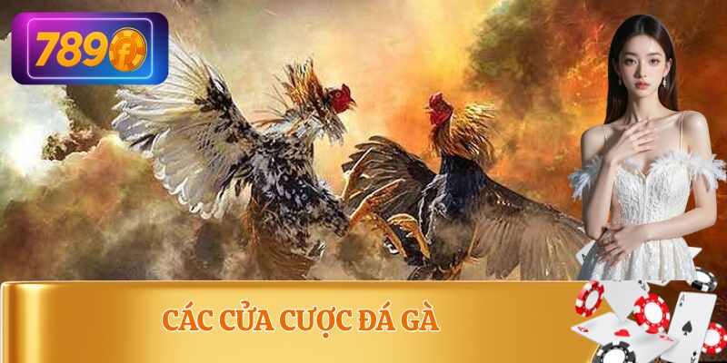 Danh sách các cửa cược đá gà chính