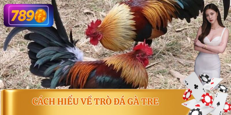 Tổng quan về loại hình chơi đá gà tre