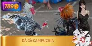 Đá Gà Campuchia
