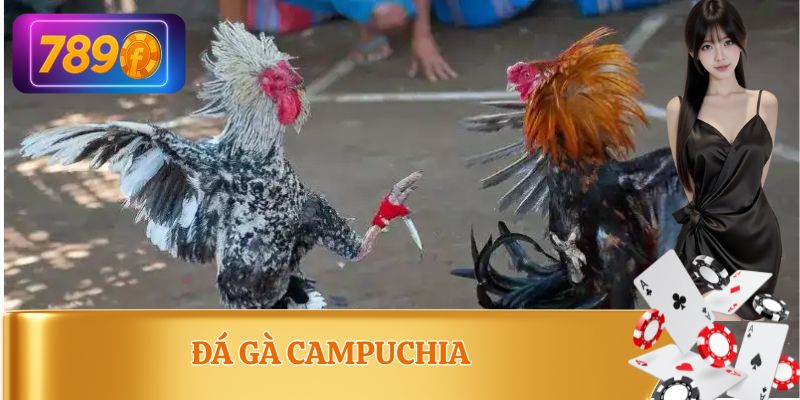 Đá Gà Campuchia
