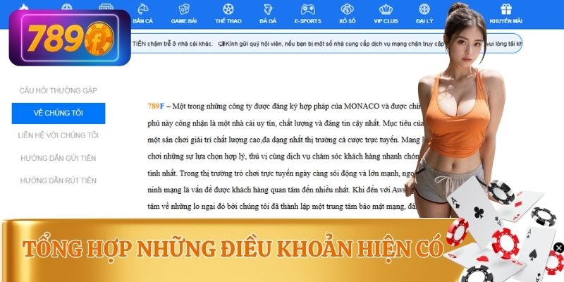 Tổng hợp những điều khoản điều kiện người chơi cần nắm