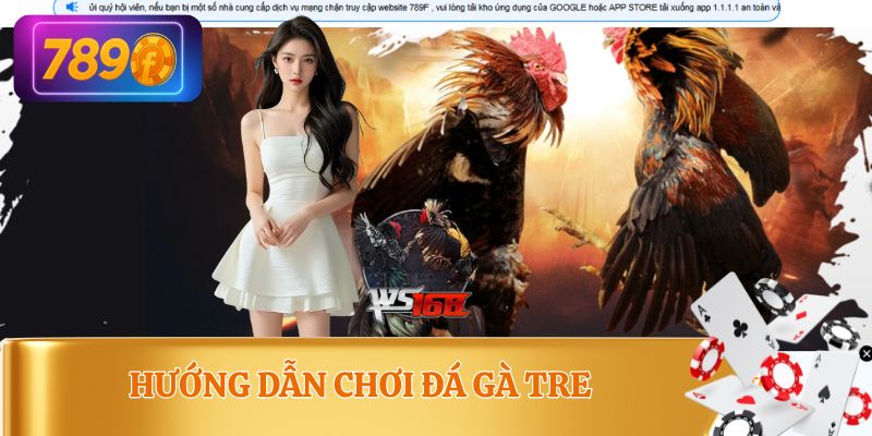 Hướng dẫn luật chơi đá gà tại nhà cái
