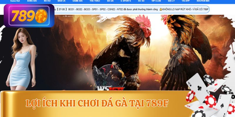 Ưu điểm khi chơi cá cược đá gà