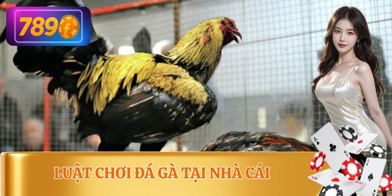 Luật chơi và cách cược đá gà chuẩn nhất