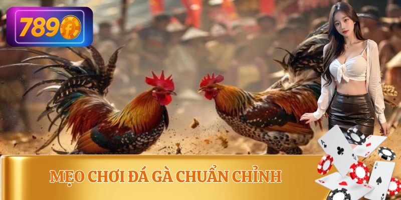 Từng mẹo chơi đá gà 789F đem về thắng lợi lớn