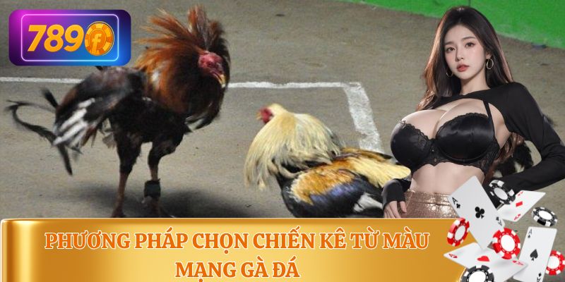 Giới thiệu phương pháp chọn chiến kê từ màu mạng gà đá