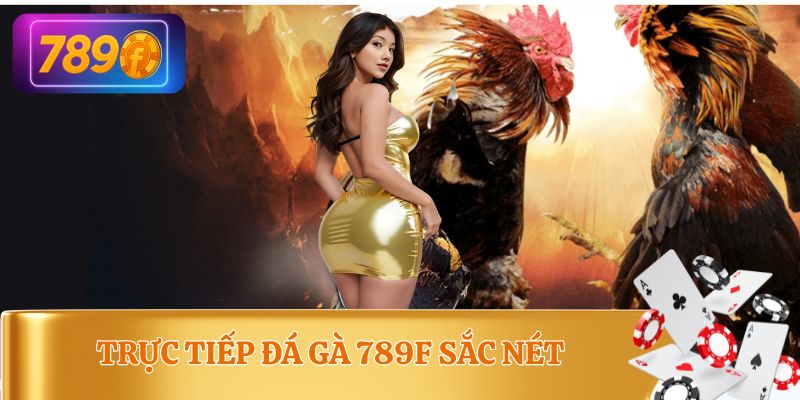 Đá gà live – Nghe rõ, thấy thật tại candydelight.us.com